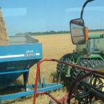 Unloading wheat on the go.