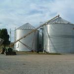 Storing grain at harvest.